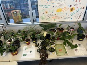 Plans on a table with poster on tips how to grow plants