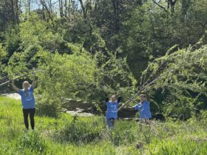 SCIP Day Students Cut Down Trees