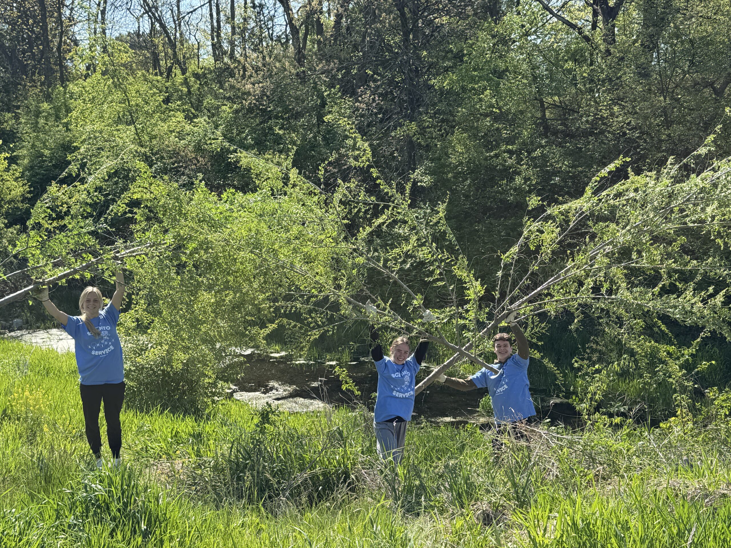 SCIP Day Students Cut Down Trees